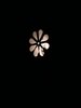 Rosette